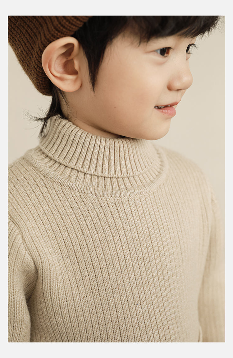 Cozy Haven Turtleneck