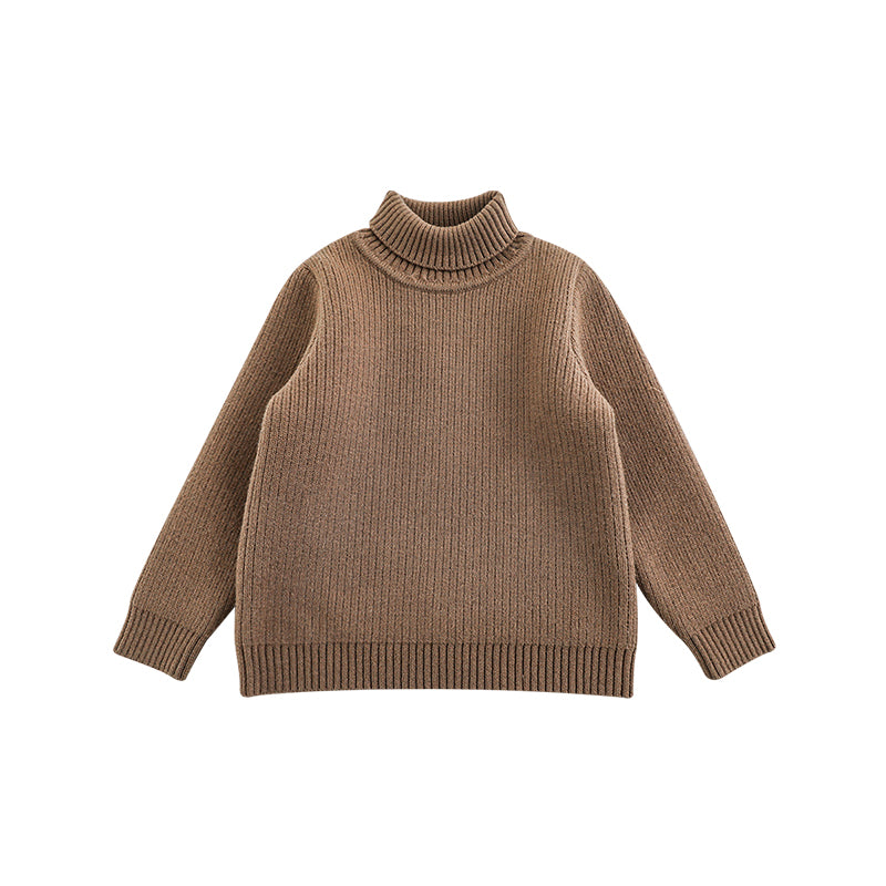 Cozy Haven Turtleneck