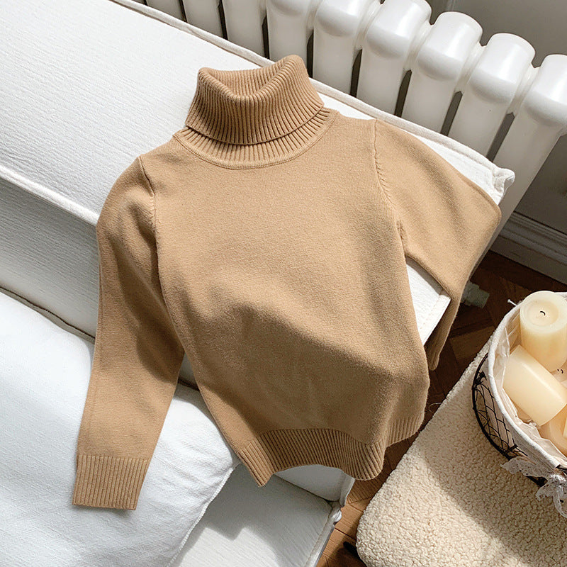 Cozy Knit Turtleneck
