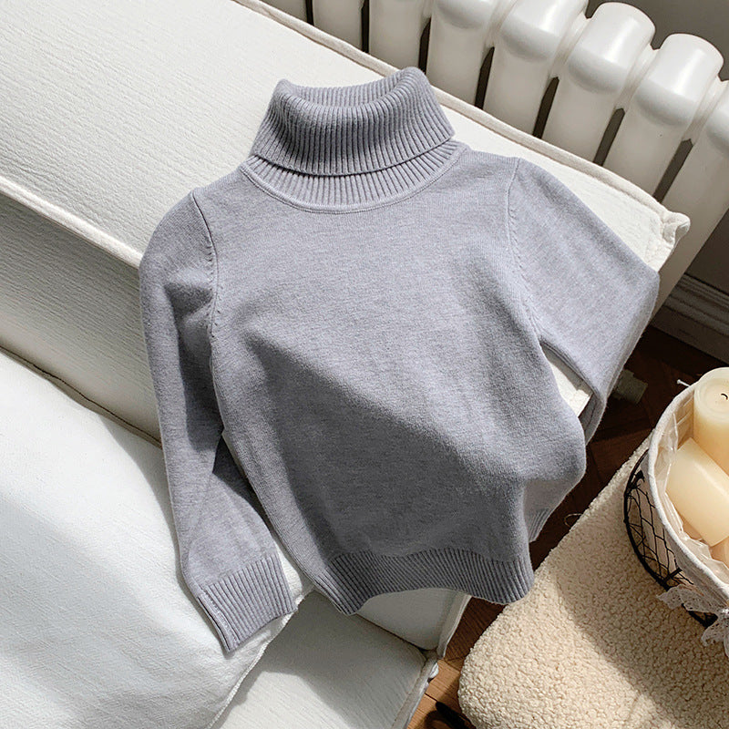 Cozy Knit Turtleneck