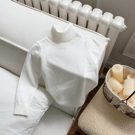 Cozy Knit Turtleneck