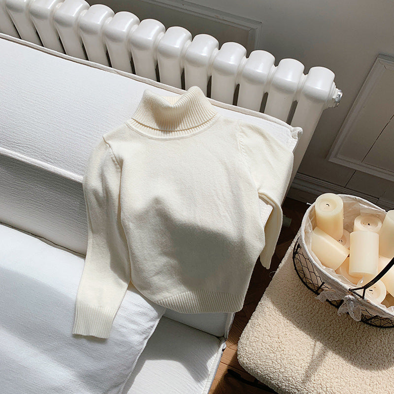 Cozy Knit Turtleneck