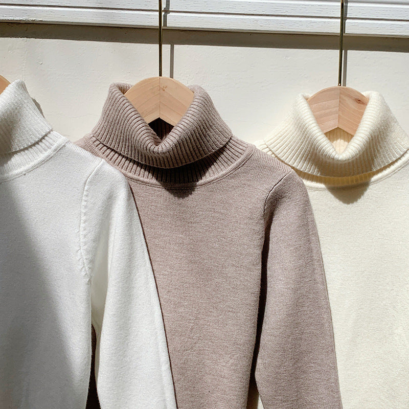 Cozy Knit Turtleneck