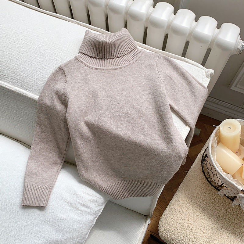 Cozy Knit Turtleneck