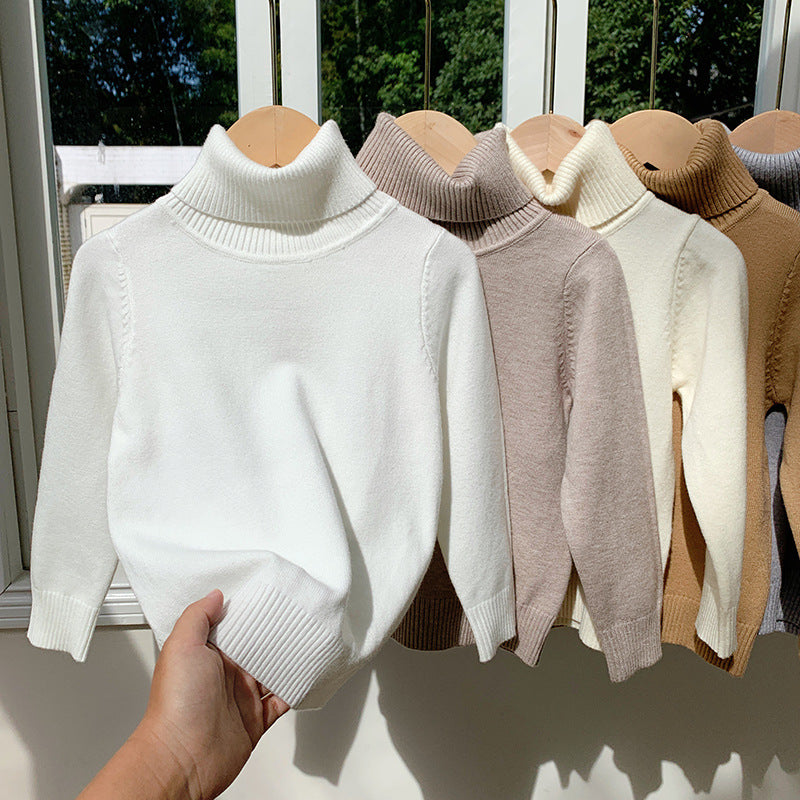 Cozy Knit Turtleneck