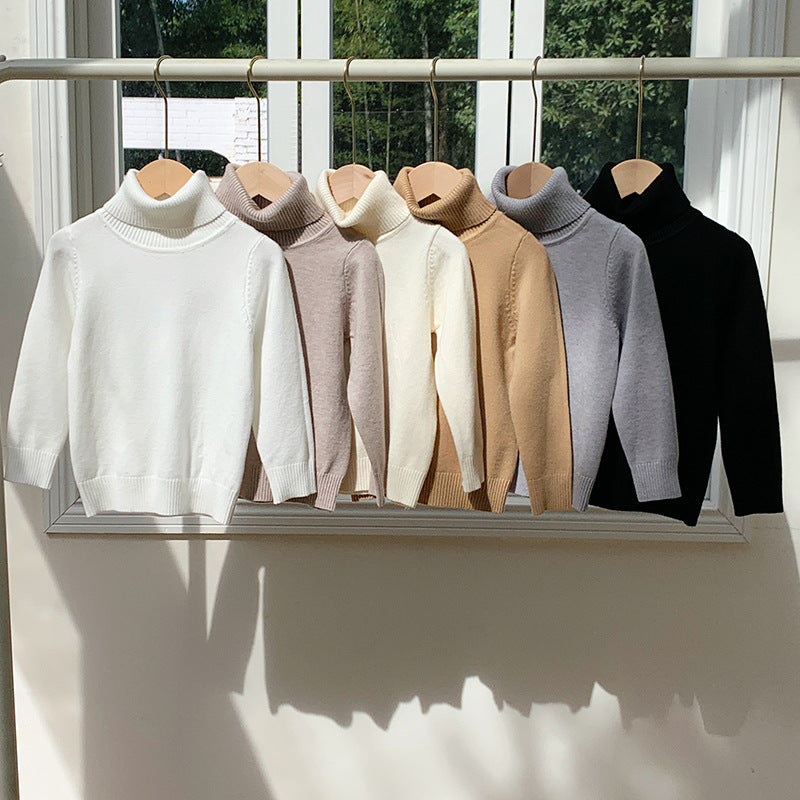 Cozy Knit Turtleneck