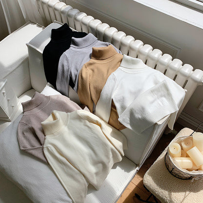 Cozy Knit Turtleneck