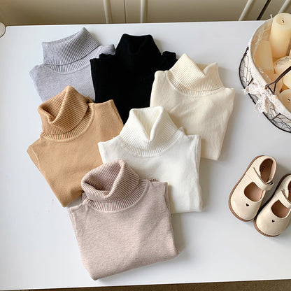 Cozy Knit Turtleneck