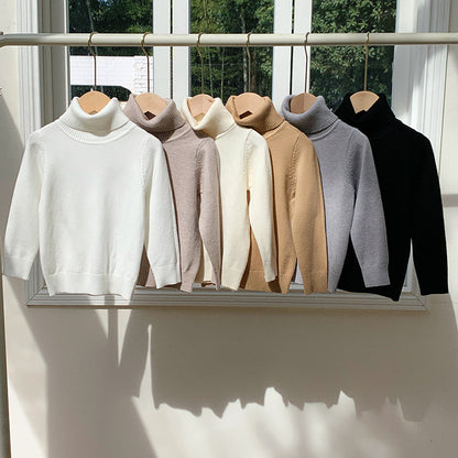 Cozy Knit Turtleneck